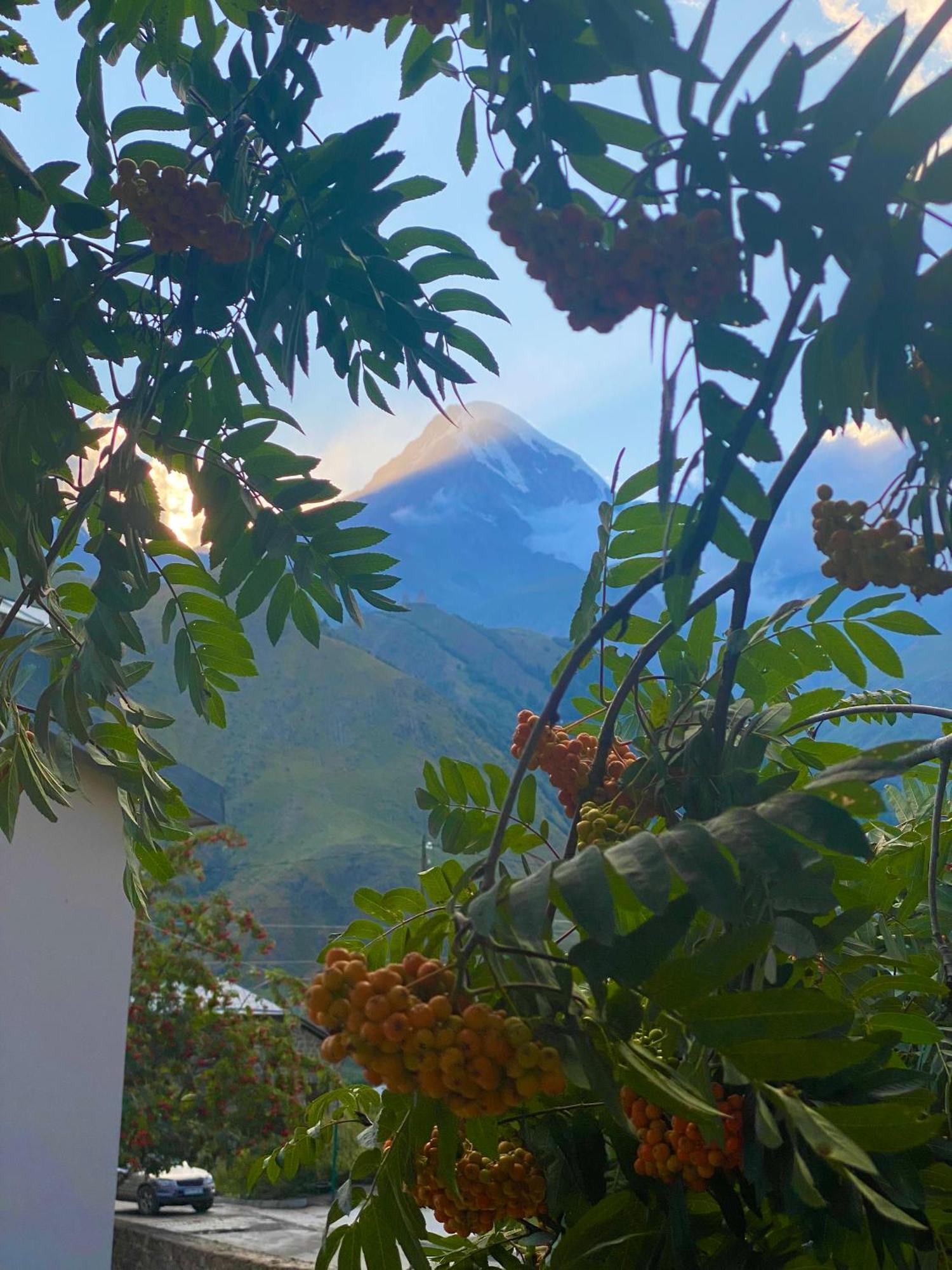 Villa Kazbegi Zewnętrze zdjęcie